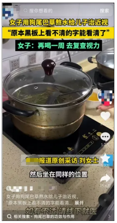 狗尾草煮水喝，能够治疗近视？网友吵翻了，真相是……